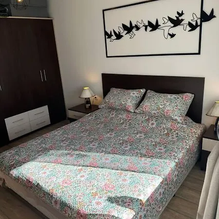 Location Unique Daire